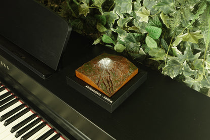 Kilimanjaro, Tanzania