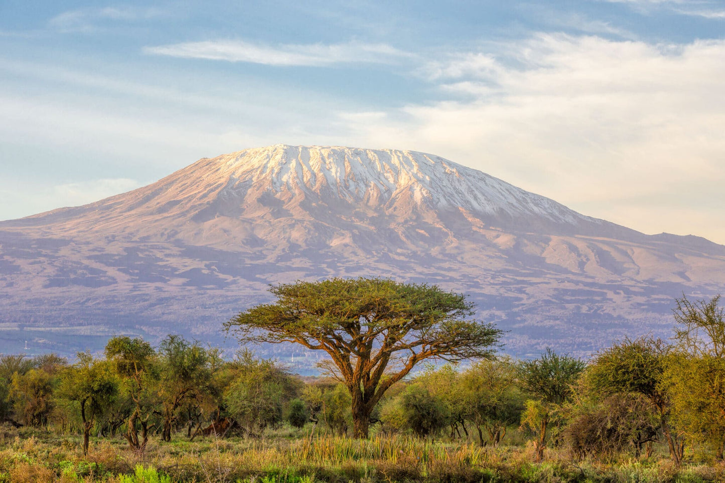 Kilimanjaro, Tanzania