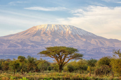 Kilimanjaro, Tanzania
